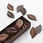 Feuilles craquantes